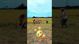 #subscribe #memes #funny #luculucuan #ngakak #trending #shorts