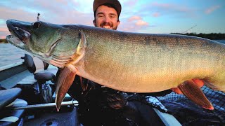 ALWAYS FISH SUNSET!   July Musky Fishing!!