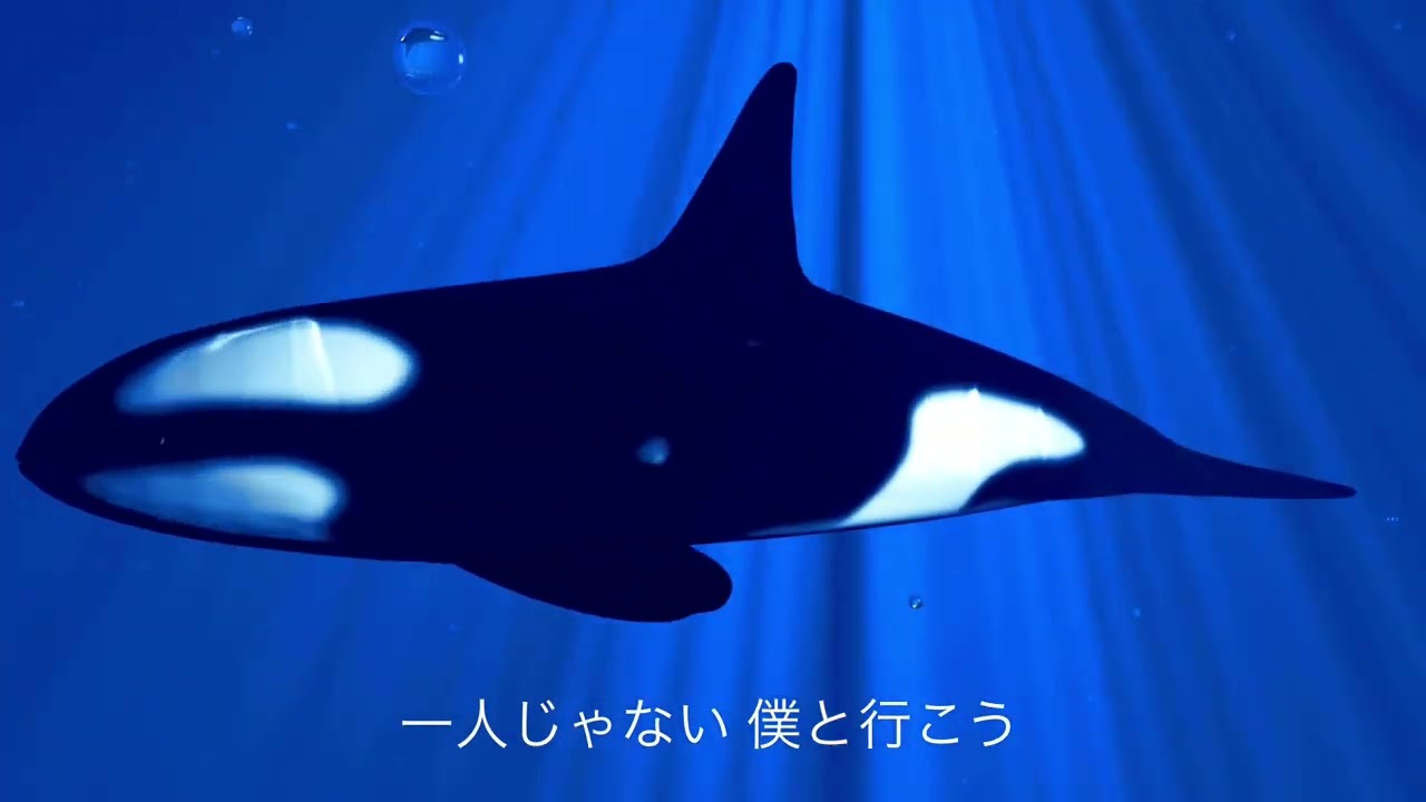 7つの海のティコ（歌詞付き）　op