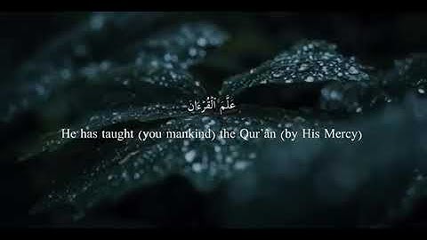 سورة الرحمن بصوت .الشيخ: محمد عيسى عبادي