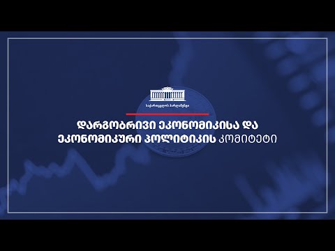 დარგობრივი ეკონომიკისა და ეკონომიკური პოლიტიკის კომიტეტის სხდომა - 19.09.2022