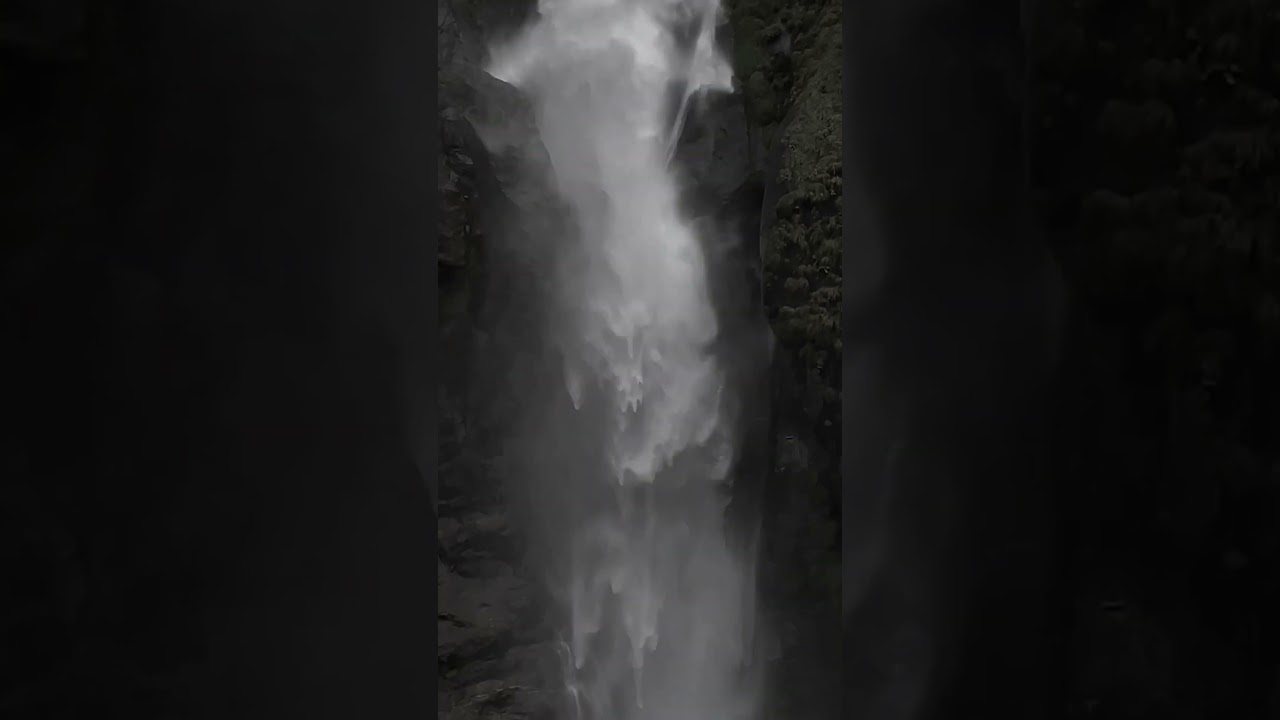 Nature’s beauty in motion. 