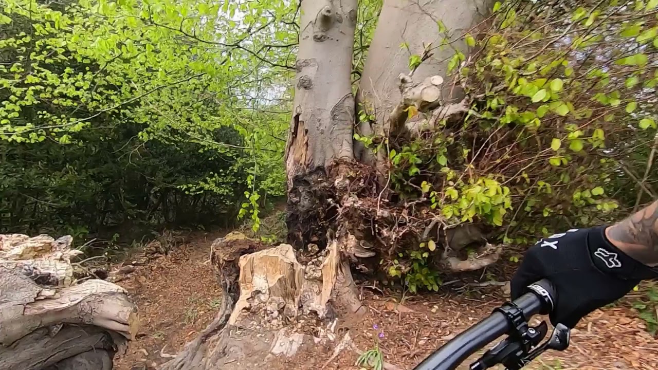 Adventure in the Woods. MTB Kent