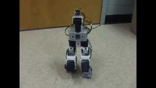 Bioloid BiPed on CM-904