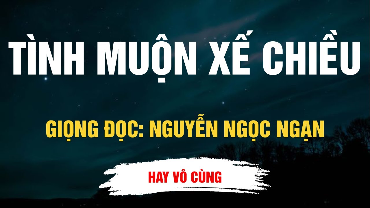 Cực Hay Nguyễn Ngọc Ngạn - Tình Muộn Xế Chiều - Kể Chuyện Đêm Khuya