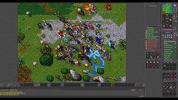 Tibia Morta Retro PvP 2018 Action Carlin Ab