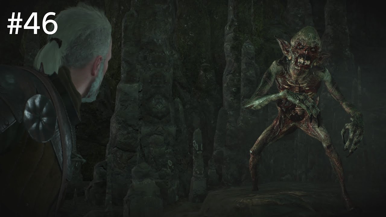 The Witcher 3 : Wild Hunt - Contract "SWAMP THINGS" - Part 46
