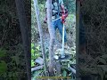 灌木を断つ音：機械が拓く、森と人の新しい境目