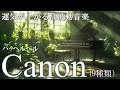 至福の高波動クラシック カノン9種類 聞き流すだけで魂が癒され松果体が活性するソルフェジオ周波数9パターンメドレー Canon 開運 ヒーリングミュージック 睡眠 松果体