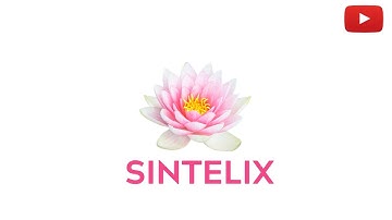 Sintelix. The Text Intelligence Solution.