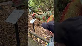 Wellington Country Park Dinosaurs