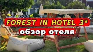 FOREST IN HOTEL 3* НОВЫЙ БУТИК ОТЕЛЬ 3 ЗВЕЗДЫ, для тех кто не готов переплачивать