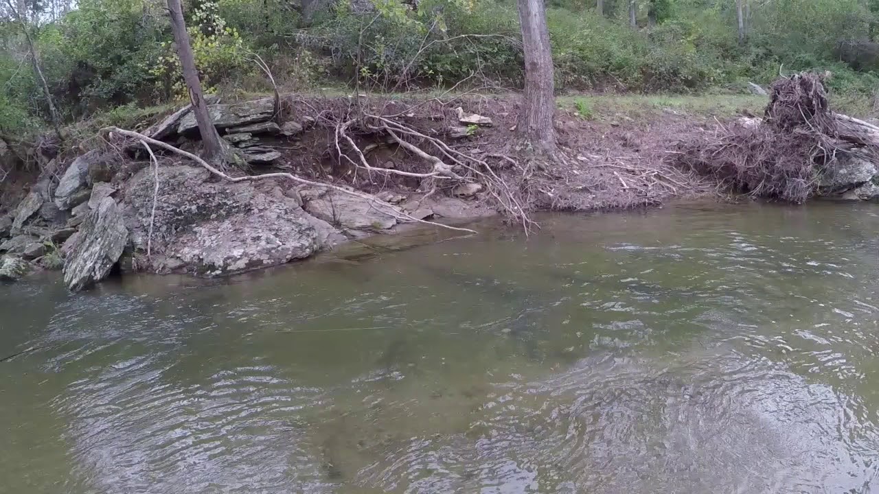 Muddy Creek PA and a Trib YouTube