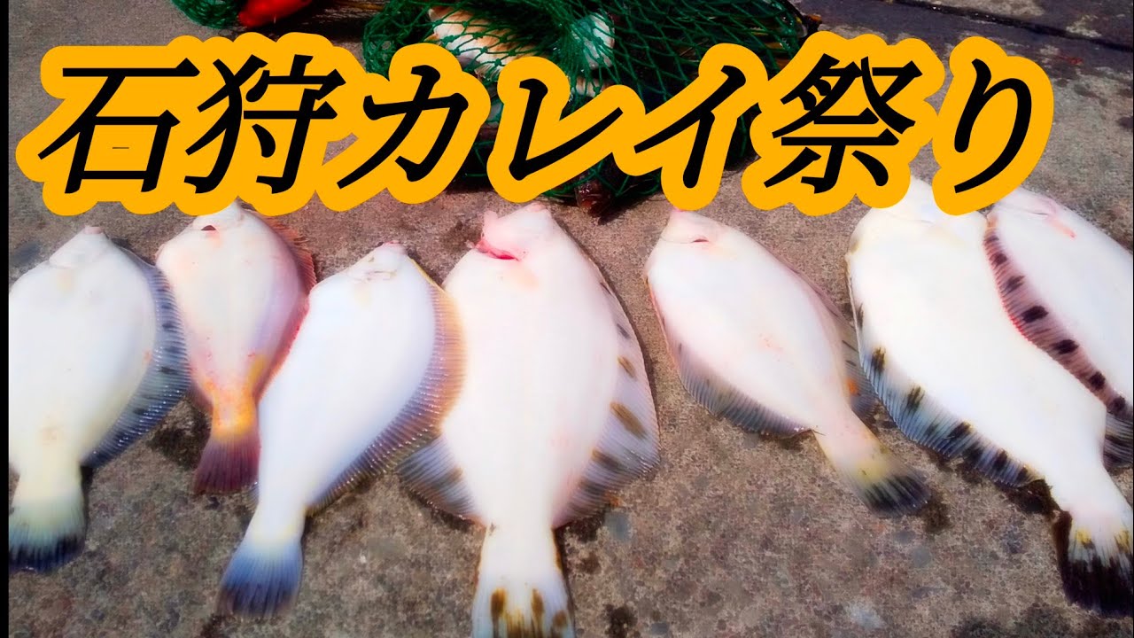 北海道　釣り　石狩新港カレイホッケ釣り投釣り