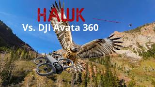 Hawk Vs DJI Avata 360 Close Call!