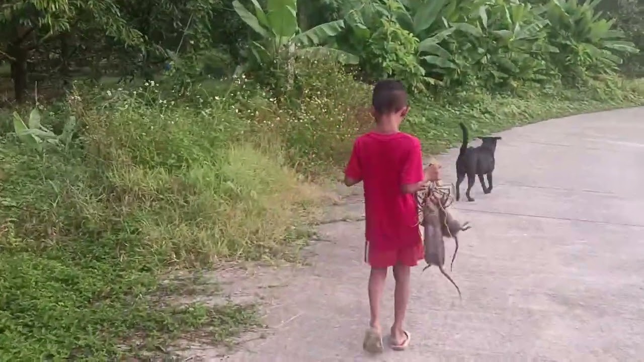 ดักหนูอีกตามเคย