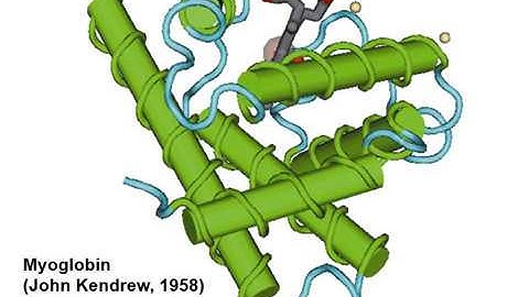 Protein analysis and proteomics