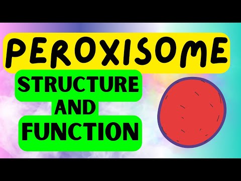 Peroxisomes - QUICK STRUCTURE AND FUNCTION EXPLAINED
