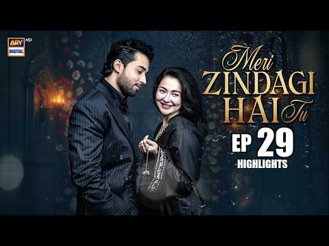 Meri Zindagi Hai Tu — Episode 29
