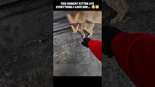 I Found a Tiny Kitten Searching for Food… Her Hunger Broke My Heart 🥺🐱 #shorts