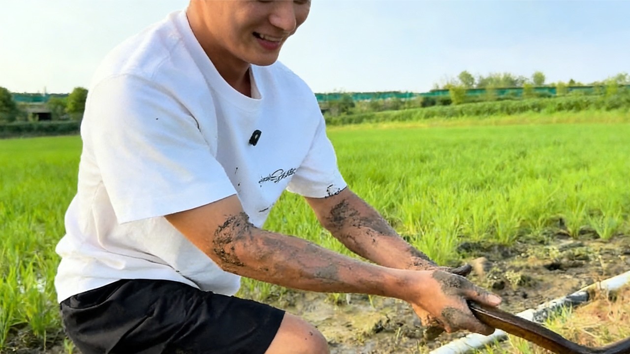 粉絲家魚塘藏巨鱔，400 塊盤出大驚喜！#熱門 #fishing