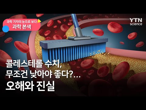 [과학본색] ①콜레스테롤 수치 무조건 낮아야 좋다?…오해와 진실 / YTN 사이언스