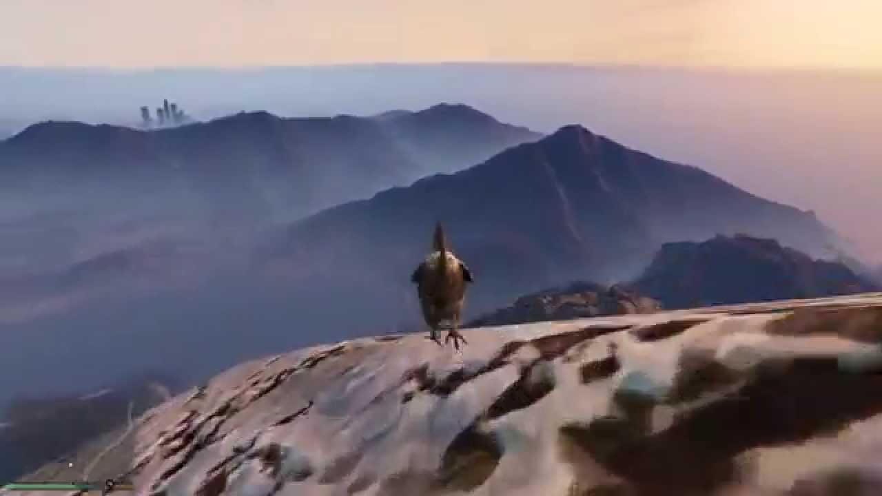 GTA V Chicken Gameplay and Peyote Plant Location Mount Chiliad YouTube