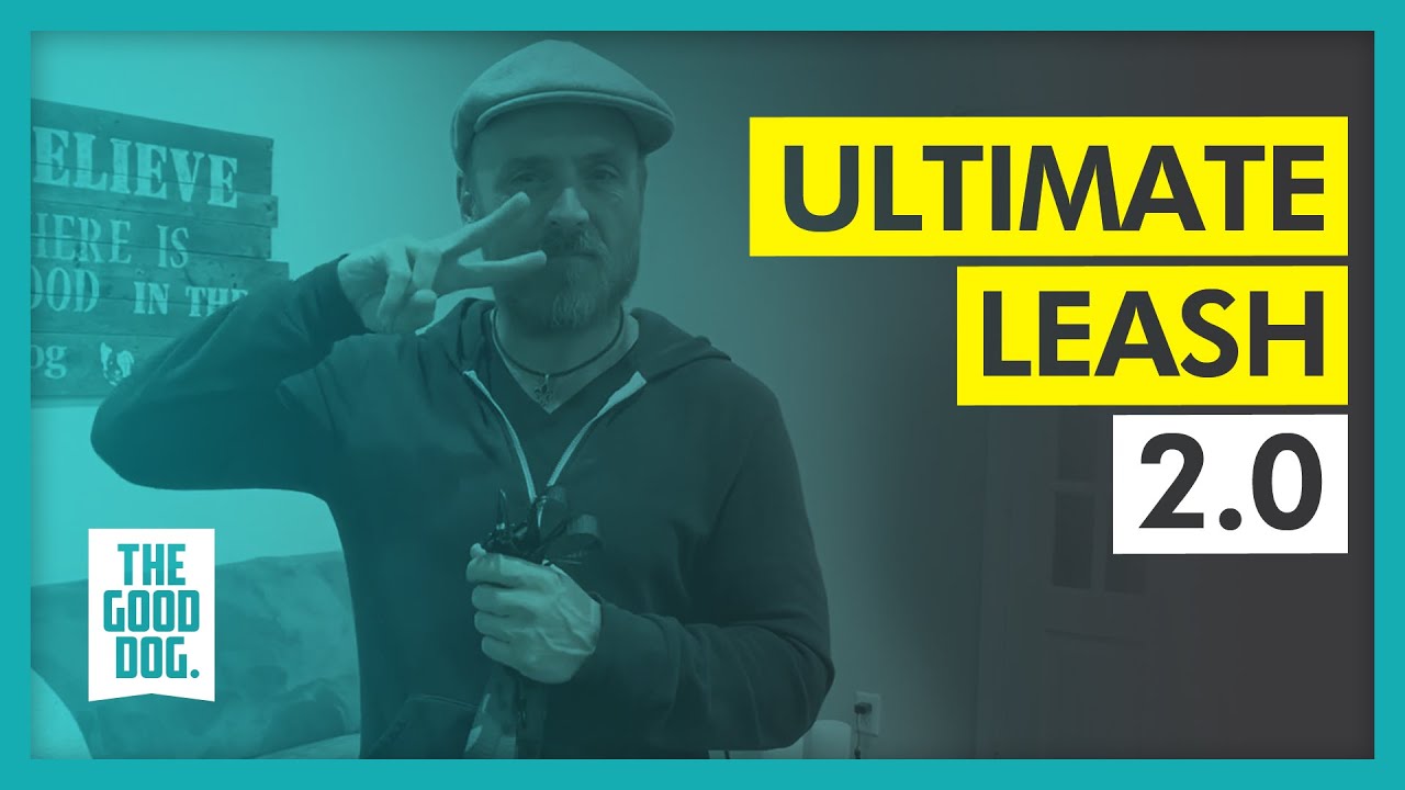 TGD’s Ultimate Leash 2.0! | The Good Dog Training