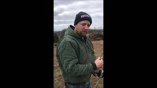 Trimming London Plane Trees  At Our Bucks County Tree Farm