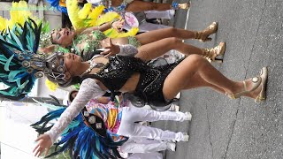 Flor de Matsudo Cereja-Samba＃2