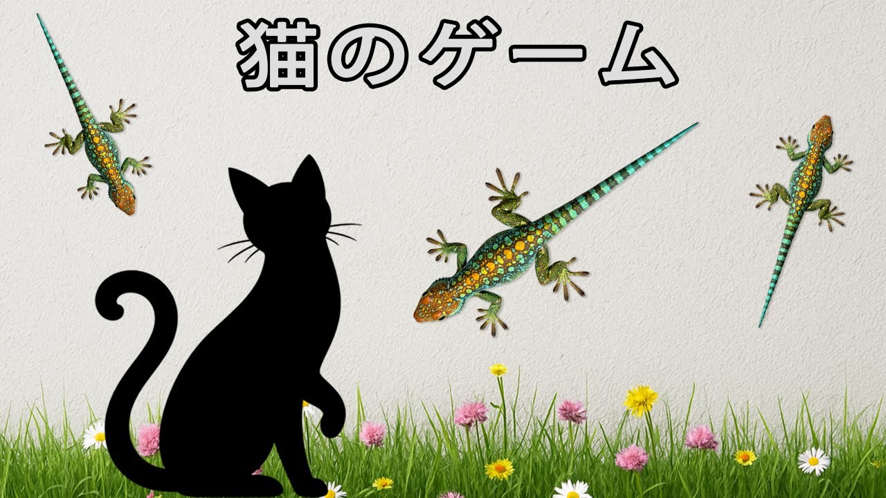 カラフルな家ヤモリの世界 🦎✨Colorful Home Lizards on the Wall