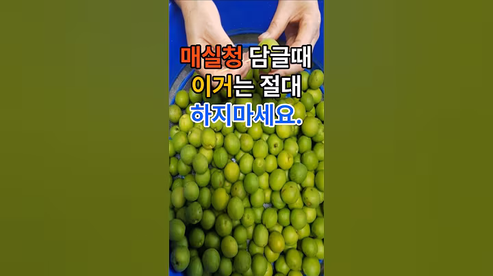 매실청 담글때 이거는 절대 하지마세요. #건강  #건강정보  #음식 #매실청