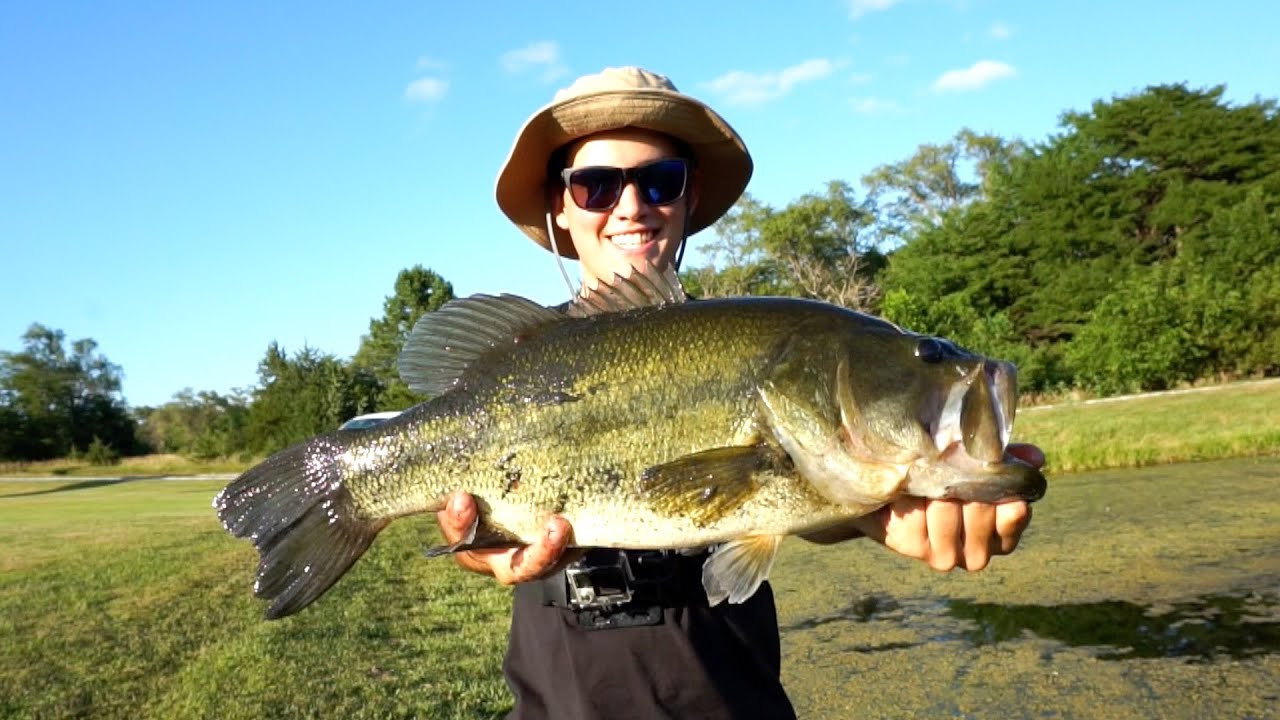 Bass Fishing NEW Ponds for BIG Bass - Tips and Catches 