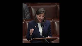 Goodlander Urges Common Cause And Common Sense In The 2025 Ndaa