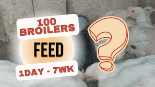Famous How Many Bags Of Feed Will Feed a 100 Broiler Birds From Day Old to Week 7 | Feed Estimation Wealth