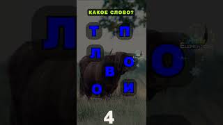 картинка: Что за слово здесь спрятано