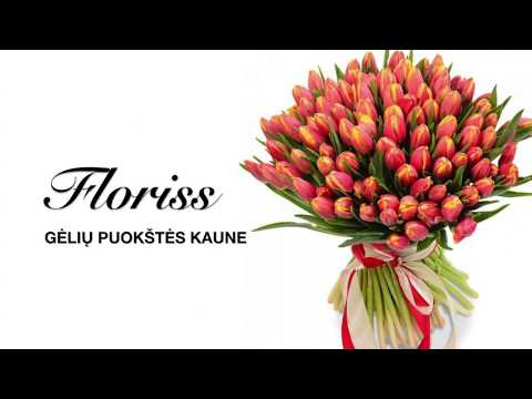 Video: 25 Geriausių Gražiausių Geltonų Gėlių