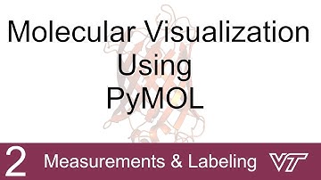 Molecular Modeling Using PyMOL: 2 Measurements and Labeling | Brown Lab