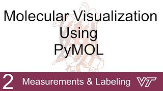 Molecular Modeling Using PyMOL: 2 Measurements and Labeling | Brown Lab Profile