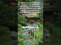 8 April 2025 #nature #whowillbemylifepartnerta #love #tamilsong #nothingimposibleinthisworld #quotes