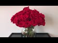 How to take care of fresh cut roses tips from globalrosecom