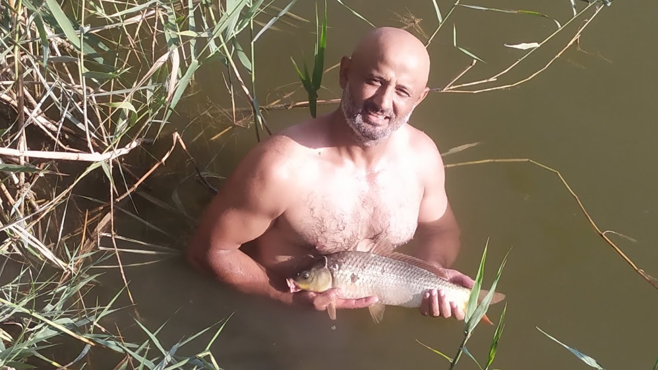 NEFTÇALA MİL MUĞAN KANALINDA BALIQ OVU / ŞAQAY / SAZAN OVU