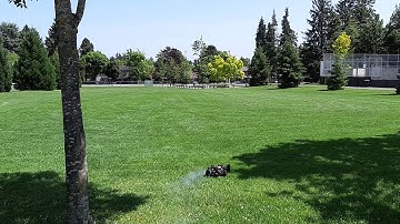 Thunder Tiger EB4 up and running for the first time still need a lot of tuning work