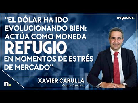 "El d&oacute;lar ha evolucionado bien: act&uacute;a como moneda refugio en momentos de estr&eacute;s de mercado"