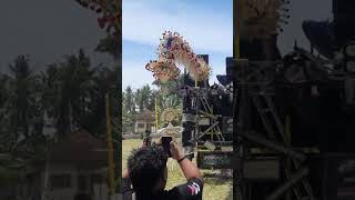 Briana  Sound Mening Bondowoso Battle Wringinputih Muncar 2025