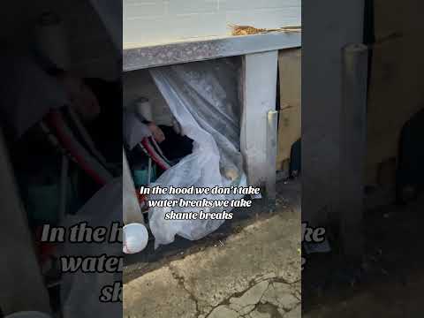 Skante Warrior Afambobie Bomdiggy Mybb Monymony Yayofamilia Comedy Relatable Fypシ Ghostep