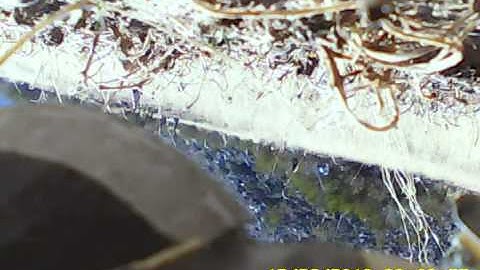 Estes Saturn V Model Rocket Crash with Onboard Camera