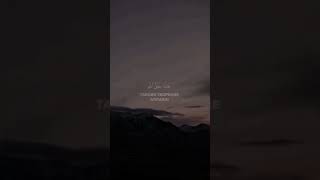 Сура: «Лукман» Аяты: 10–11 Чтец: Ясир Аль-Досари#freepalestine #Islam #quranrecitation #quran