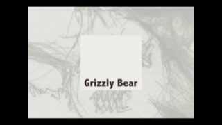 Grizzly Bear - A good place