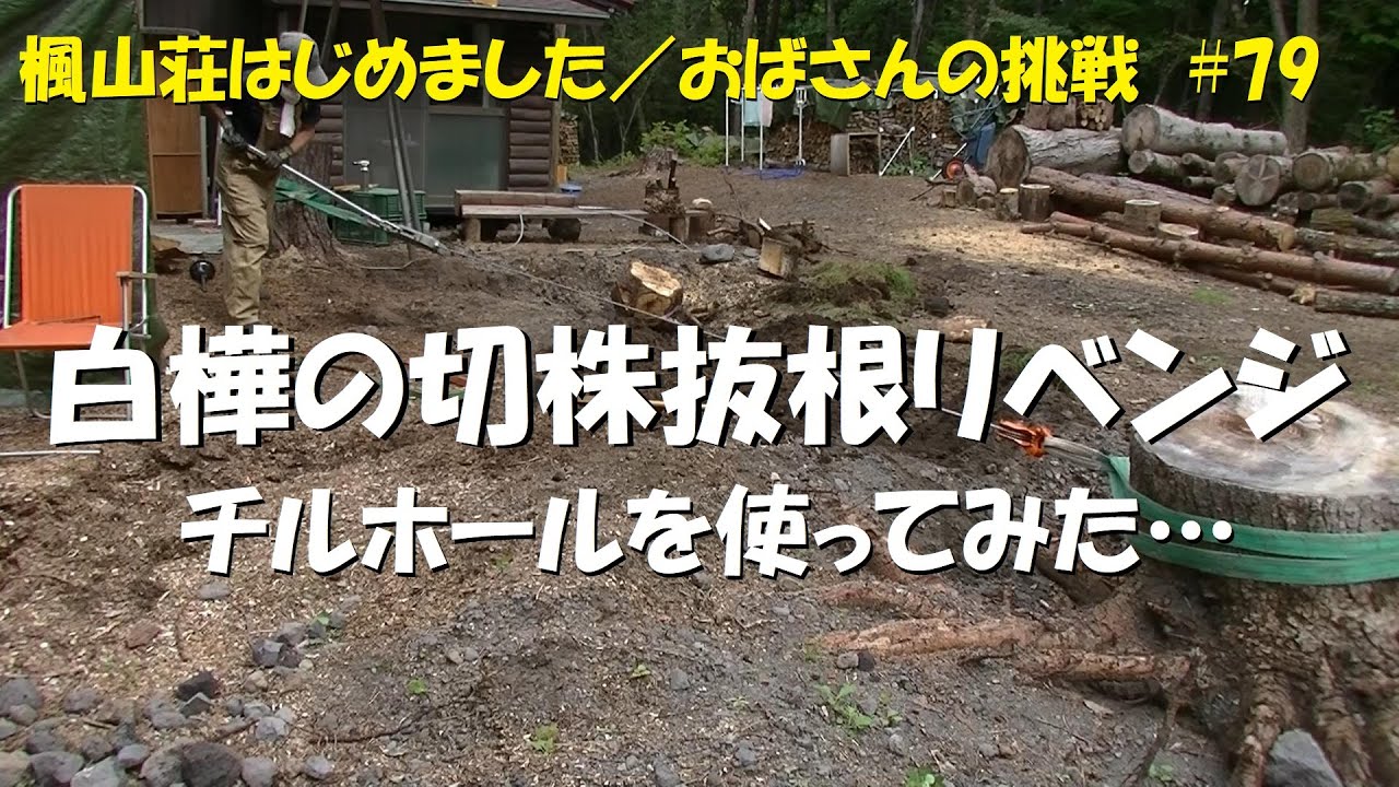 ＃７９　白樺の切株抜根リベンジ／チルホールを使ってみた…